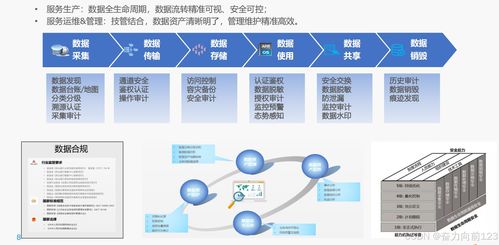 Java系統(tǒng)數(shù)據(jù)安全與治理 數(shù)據(jù)處理與存儲(chǔ)支持服務(wù)的實(shí)踐與策略